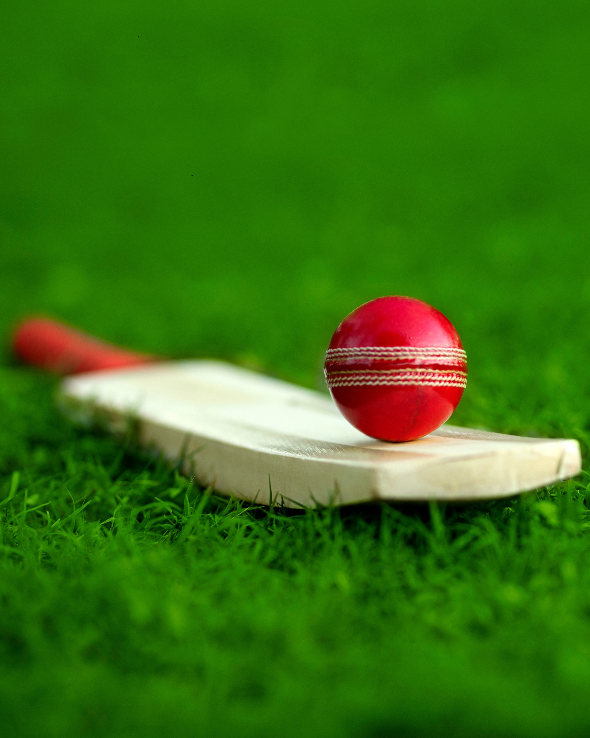 Professional Cricket Sponsorship